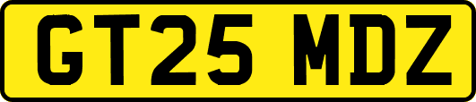 GT25MDZ