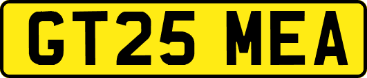 GT25MEA