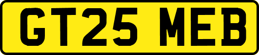 GT25MEB