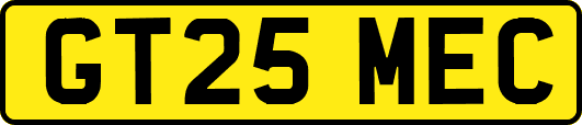 GT25MEC
