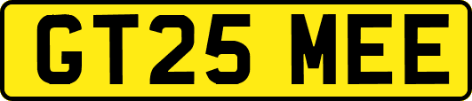 GT25MEE