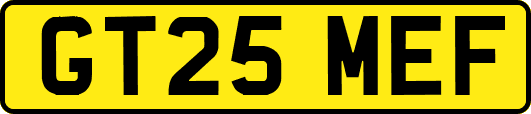 GT25MEF