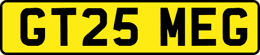 GT25MEG