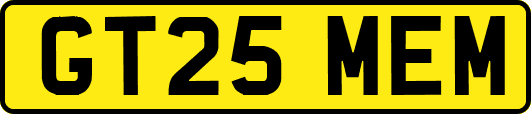 GT25MEM