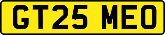 GT25MEO