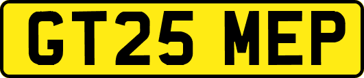 GT25MEP