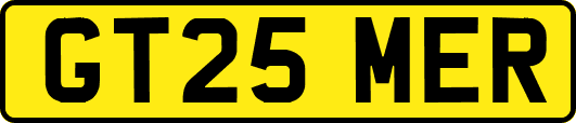 GT25MER