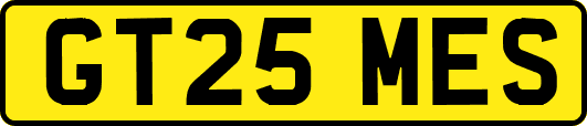 GT25MES