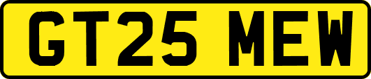 GT25MEW