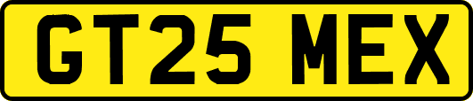 GT25MEX