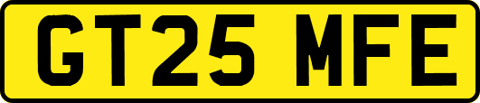 GT25MFE
