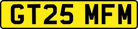 GT25MFM