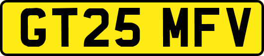 GT25MFV