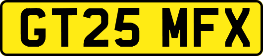GT25MFX