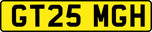 GT25MGH
