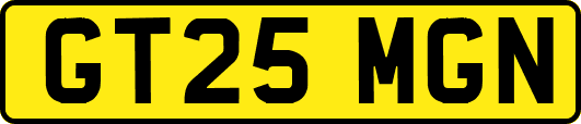 GT25MGN