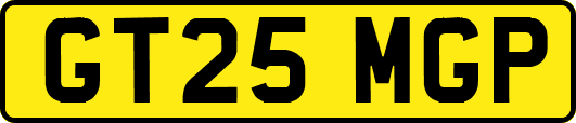 GT25MGP