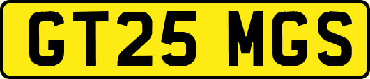 GT25MGS
