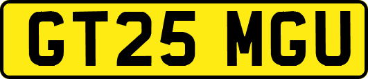 GT25MGU