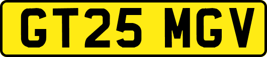 GT25MGV