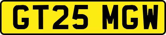 GT25MGW