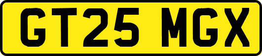 GT25MGX