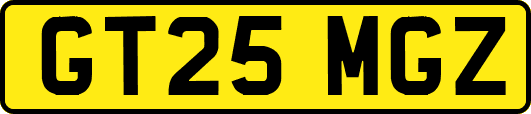 GT25MGZ