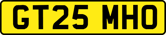 GT25MHO