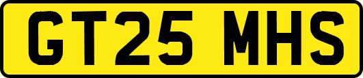 GT25MHS