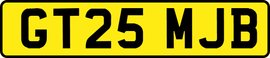 GT25MJB