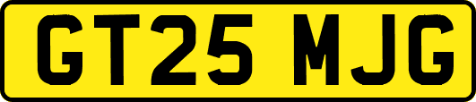 GT25MJG