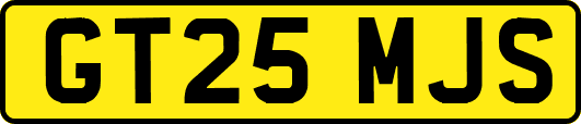 GT25MJS