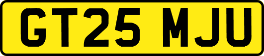 GT25MJU