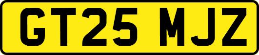 GT25MJZ