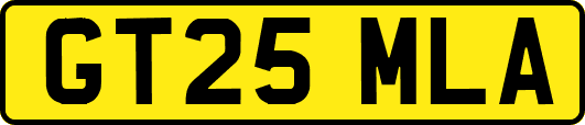 GT25MLA