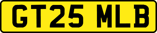 GT25MLB