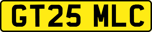 GT25MLC