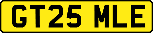 GT25MLE