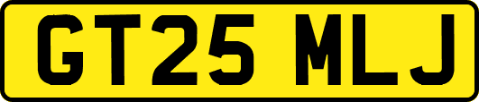 GT25MLJ