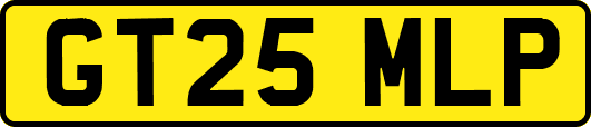 GT25MLP