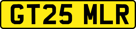 GT25MLR
