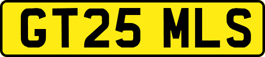 GT25MLS