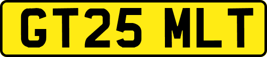 GT25MLT