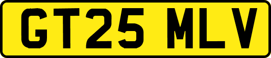 GT25MLV