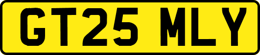 GT25MLY