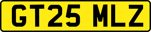 GT25MLZ