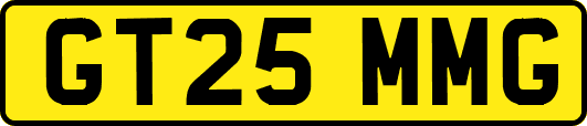 GT25MMG