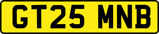 GT25MNB