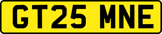 GT25MNE