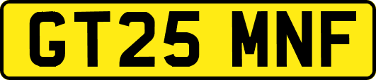 GT25MNF